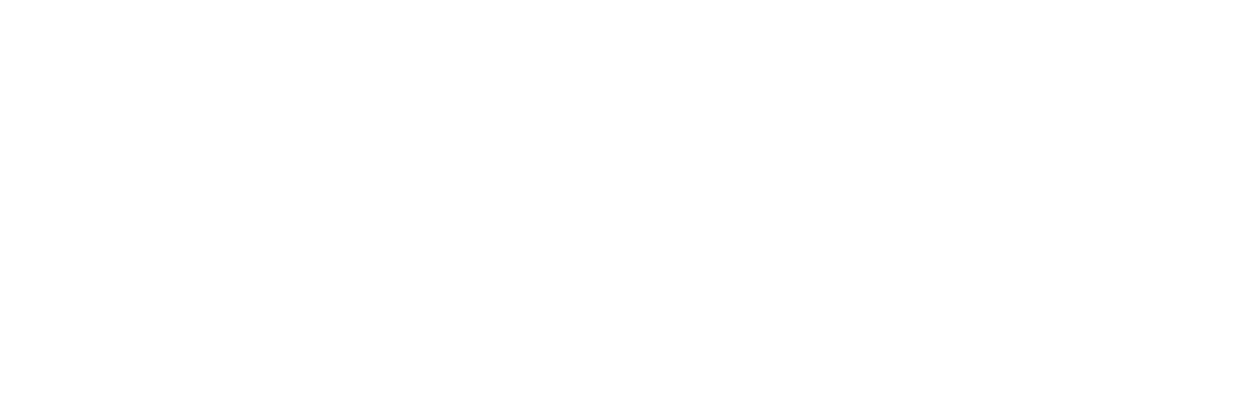 Veloci Homes